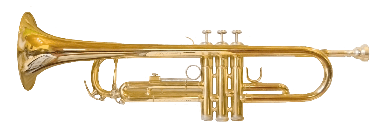 brass instrument family