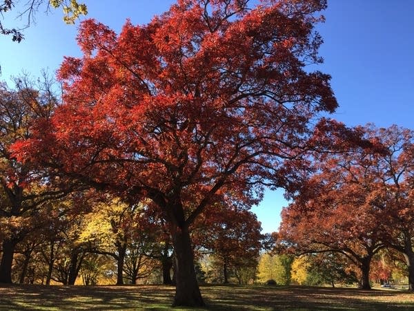 Dry start to the week; Wednesday, Wednesday night soaker