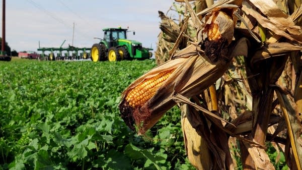 Soil health event