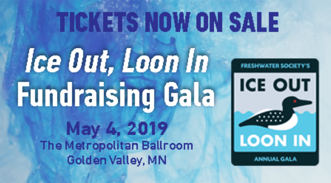 Ice out loon 2019