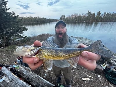 Minnesota DNR begins transition to new licensing system with anglers and hunters  