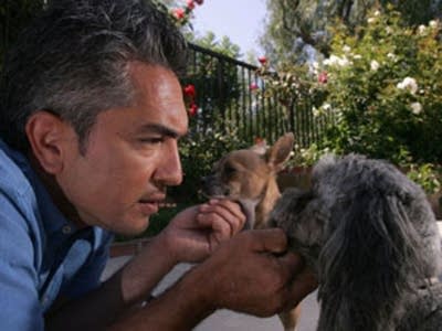 Cesar Millan