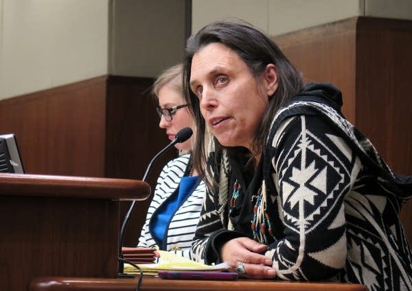 Winona LaDuke at the hearing on water standards.