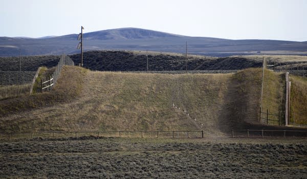 A grassy, wide path lined with dirt berms and fencing.