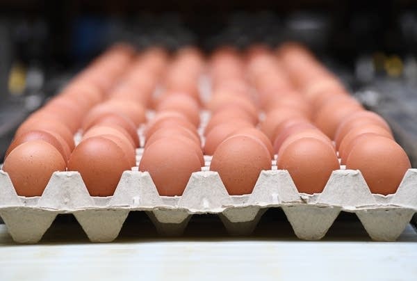 Egg prices dropped more than $1.50 on average between January and April 2023.
