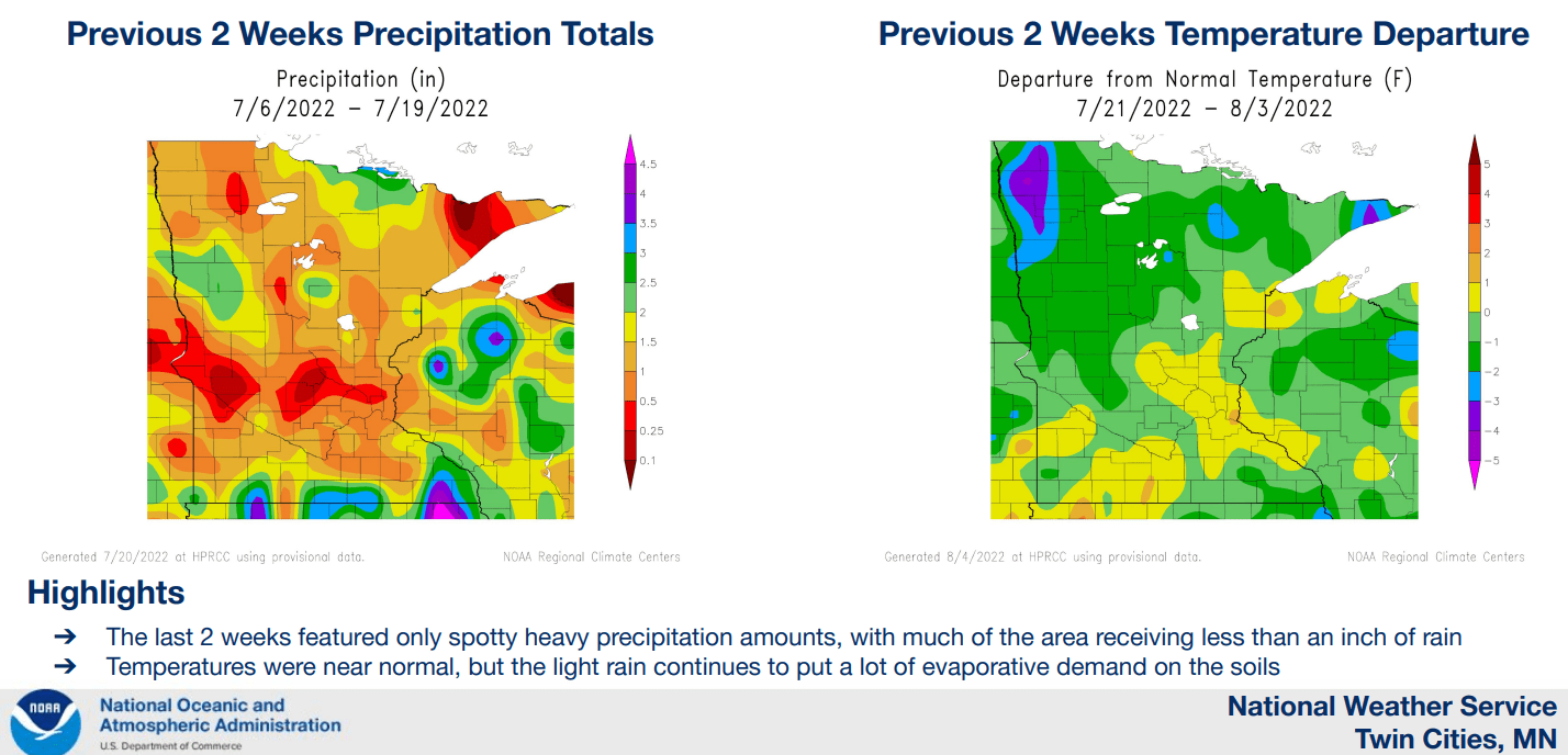 Observed rainfall