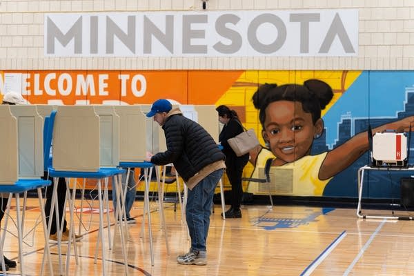 Minnesota Election Day 2025: What’s on the ballot and how to vote
