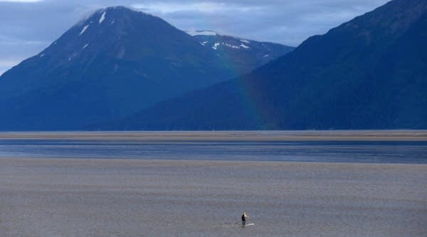 A light rainbow hits the water as a surfer waits to catch the Bore Tide at Turnagain Arm in Anchorage, Alaska.