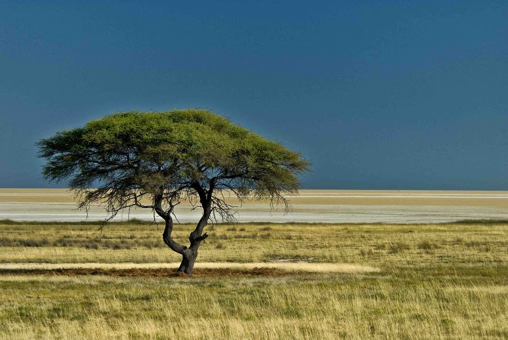 Desert edge
