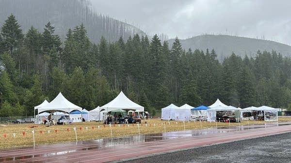 Vendors do their best to set up during a rainy first day of the McKenzie River Solstice Arts Festival on June 21, 2025. 