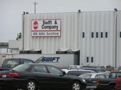 Swift plant