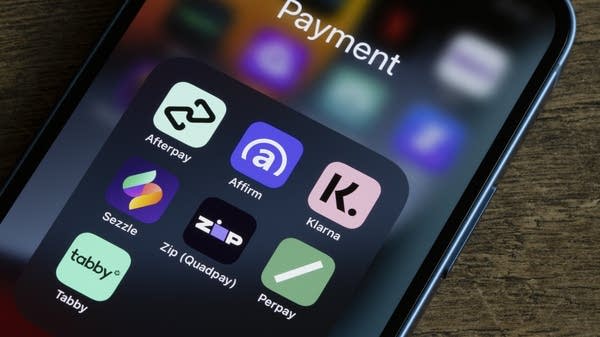 Someone choosing to use a buy now, pay later service doesn't necessarily mean they don't qualify for a credit card, said Telis Demos at The Wall Street Journal.