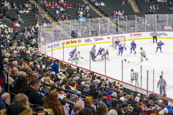Hockey fans watch the game