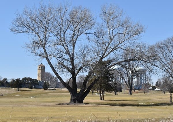 Weekend weather: Milder temps; brightest day will be Saturday