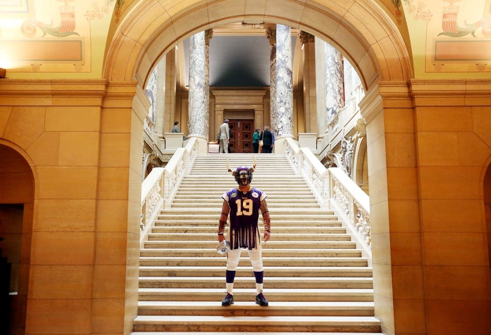 Vikings fan