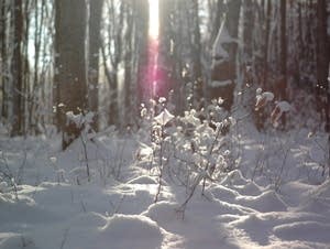 Winter in Levering, Michigan