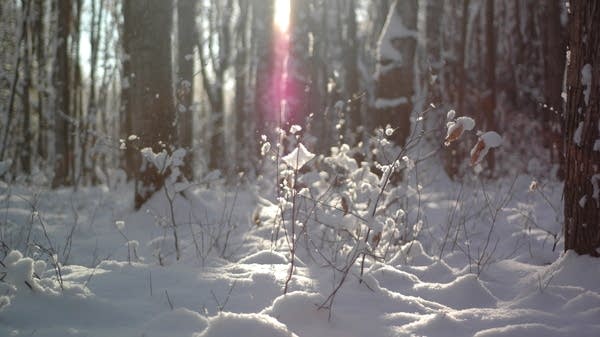 PT Weekend: The tranquility of Winter