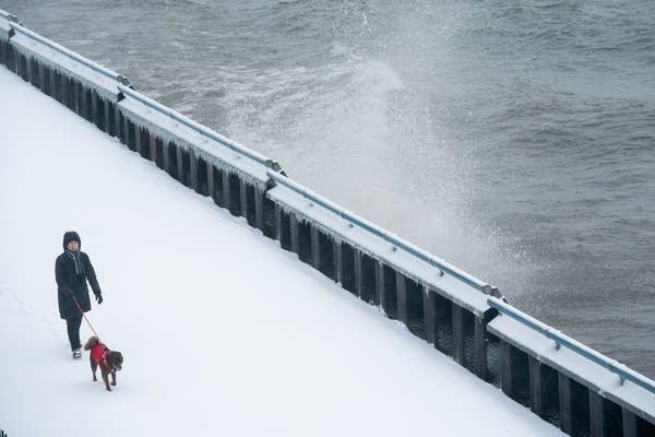 A woman walks along the boardwalk with a dog. The waves crash against the rail.