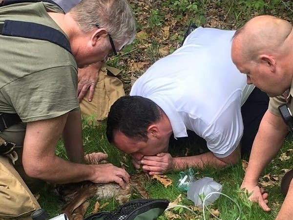 Firefighters and deputies helped rescue a pair of newborn fawns.