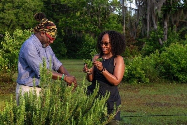 Twin Cities dinner series explores America’s culinary origins