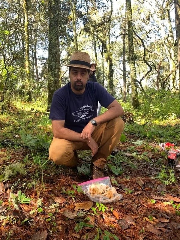 Mahmood Tajbakhsh posing with collected chanterelles