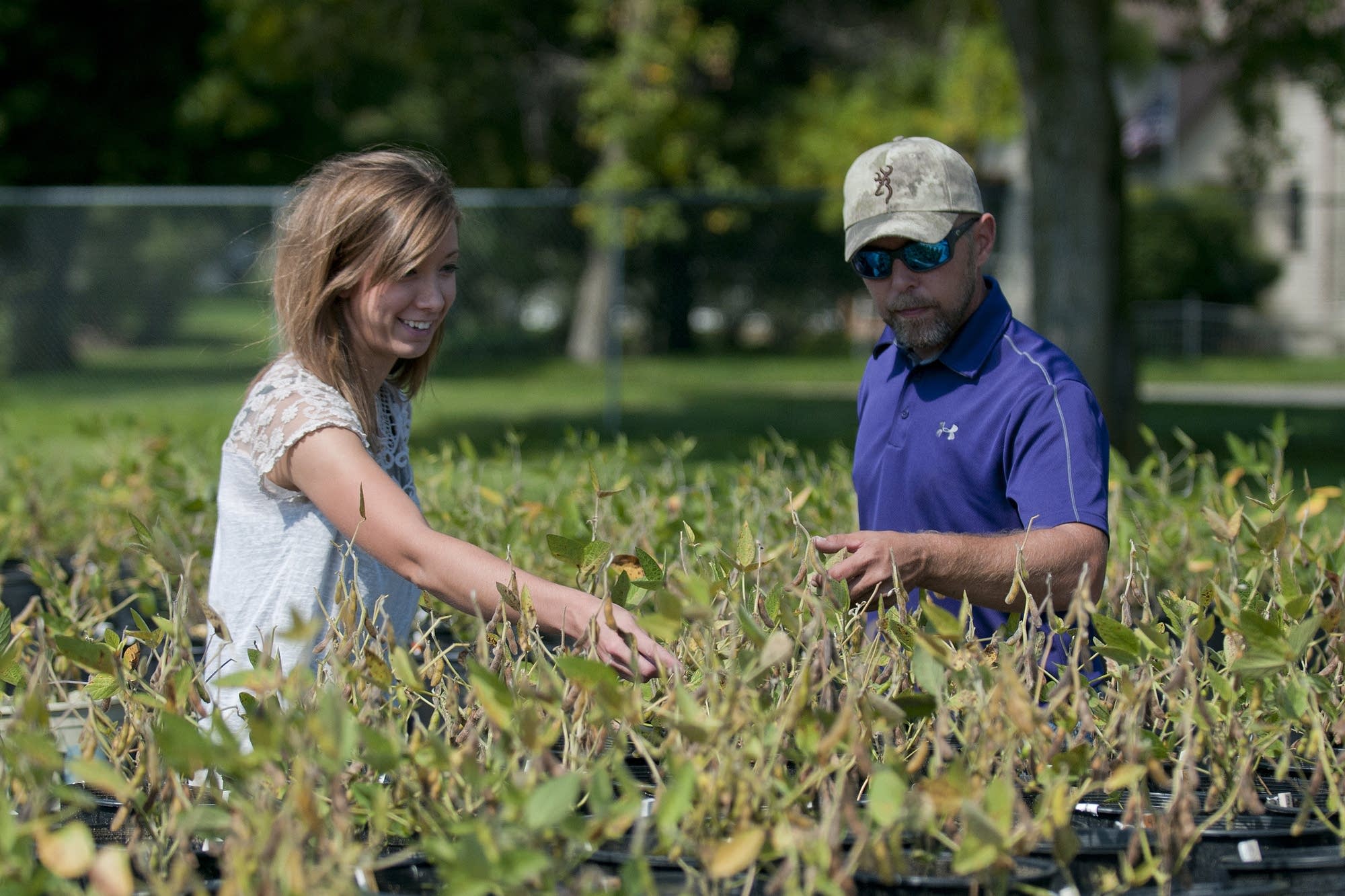 Emma Christensen, Tom Chandler look at soy plants