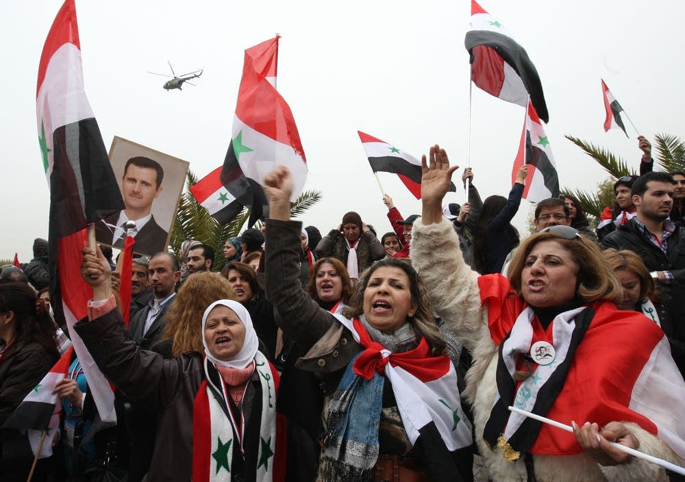 Syrian pro-government protesters