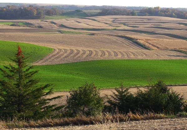 Farm fields