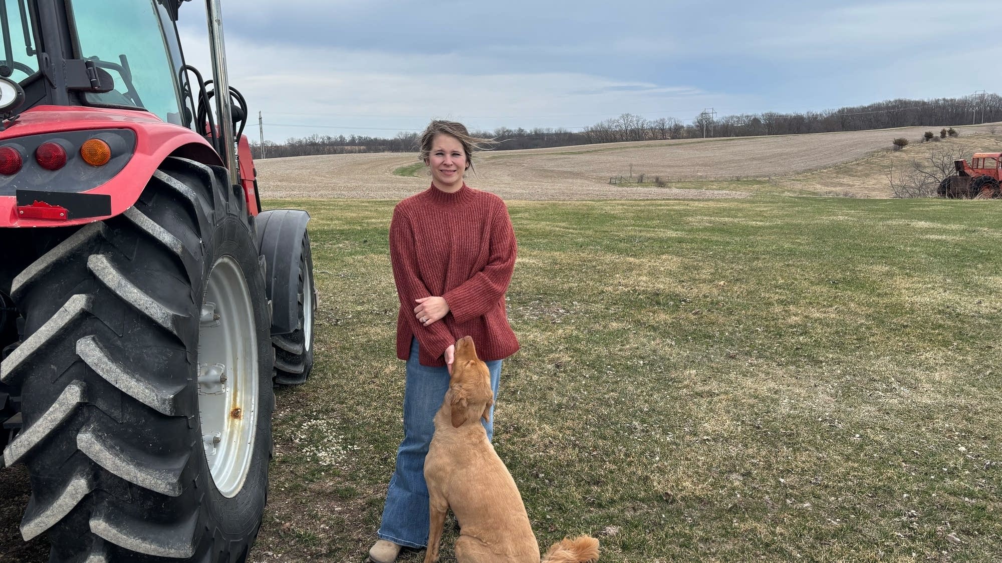 Green energy power lines raise environmental concerns