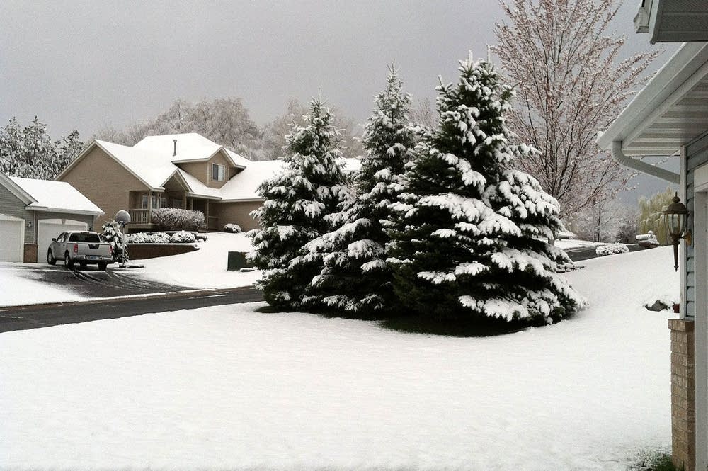 Photos May winter storm dumps record snow on SE Minn. MPR News