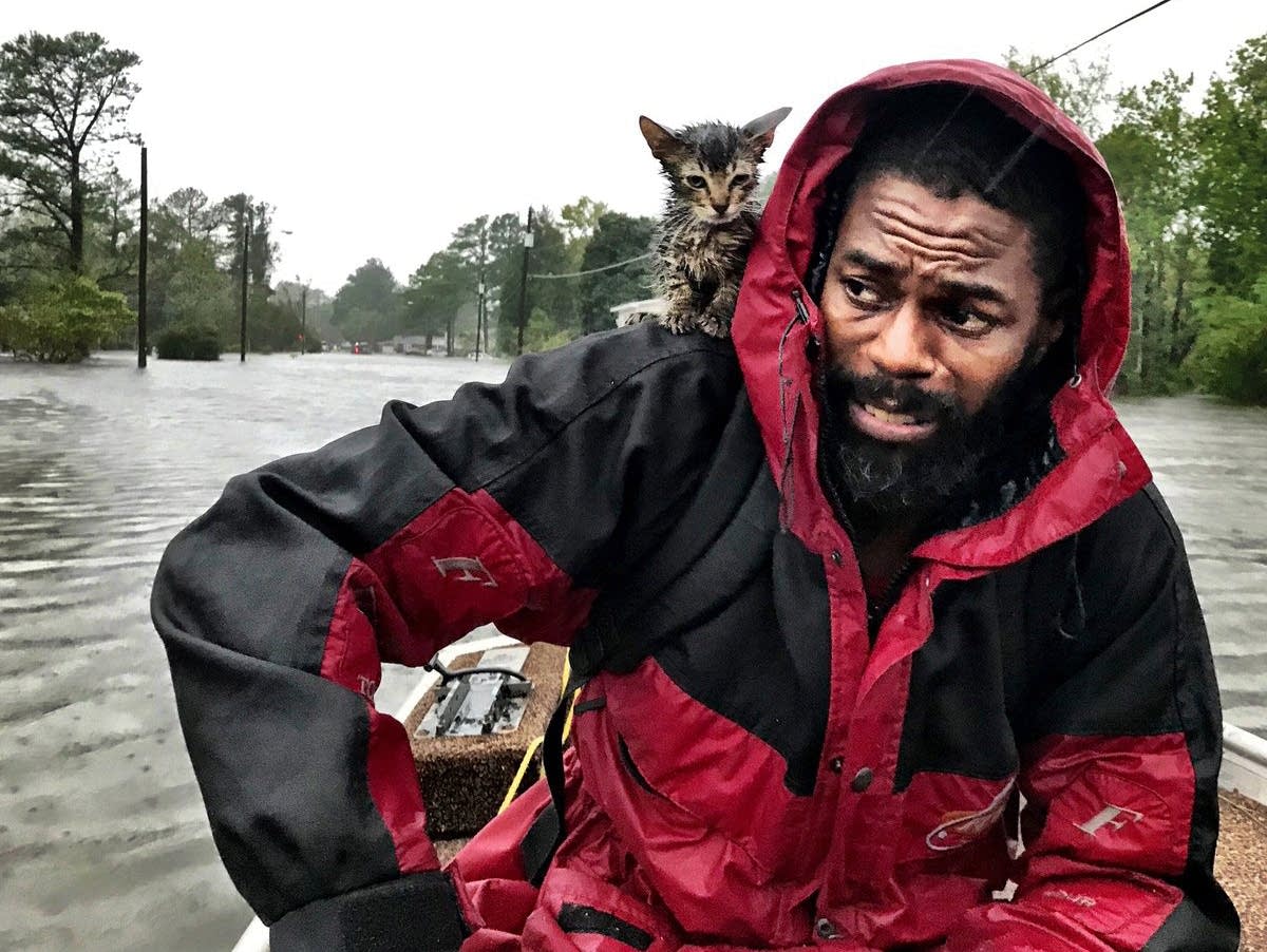 Hurricane Florence