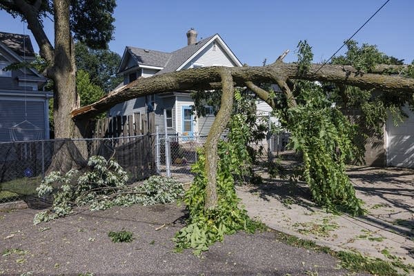 Storm Damage 
