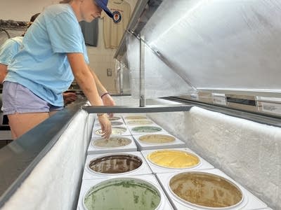 ice cream shop in St Paul