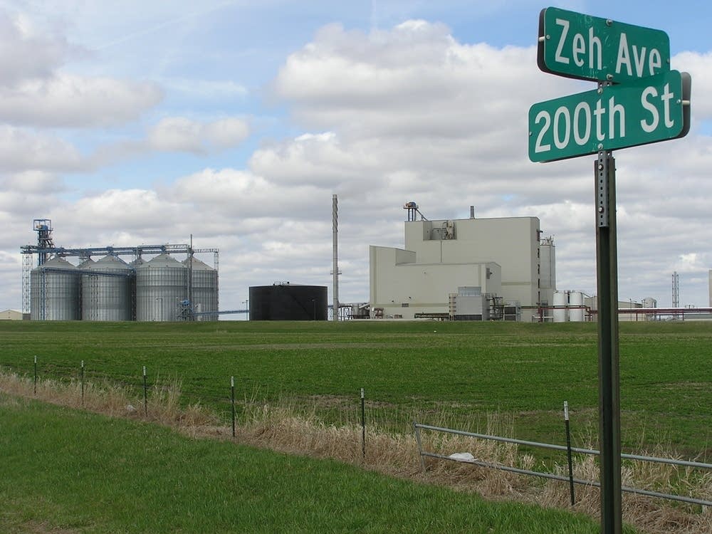Brewster plant