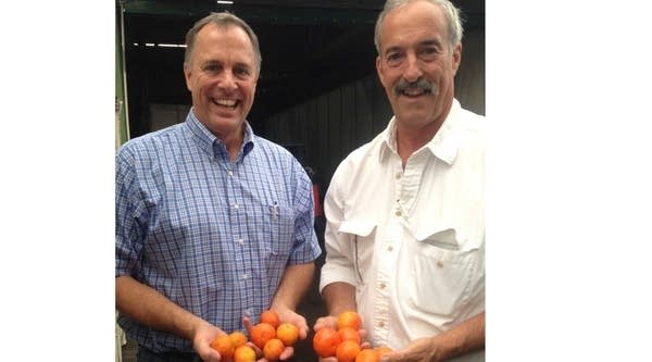 Quentin Roe and William Roe run W.G. Roe and Sons, Inc. It's one of the largest tangerine operations in the country. 