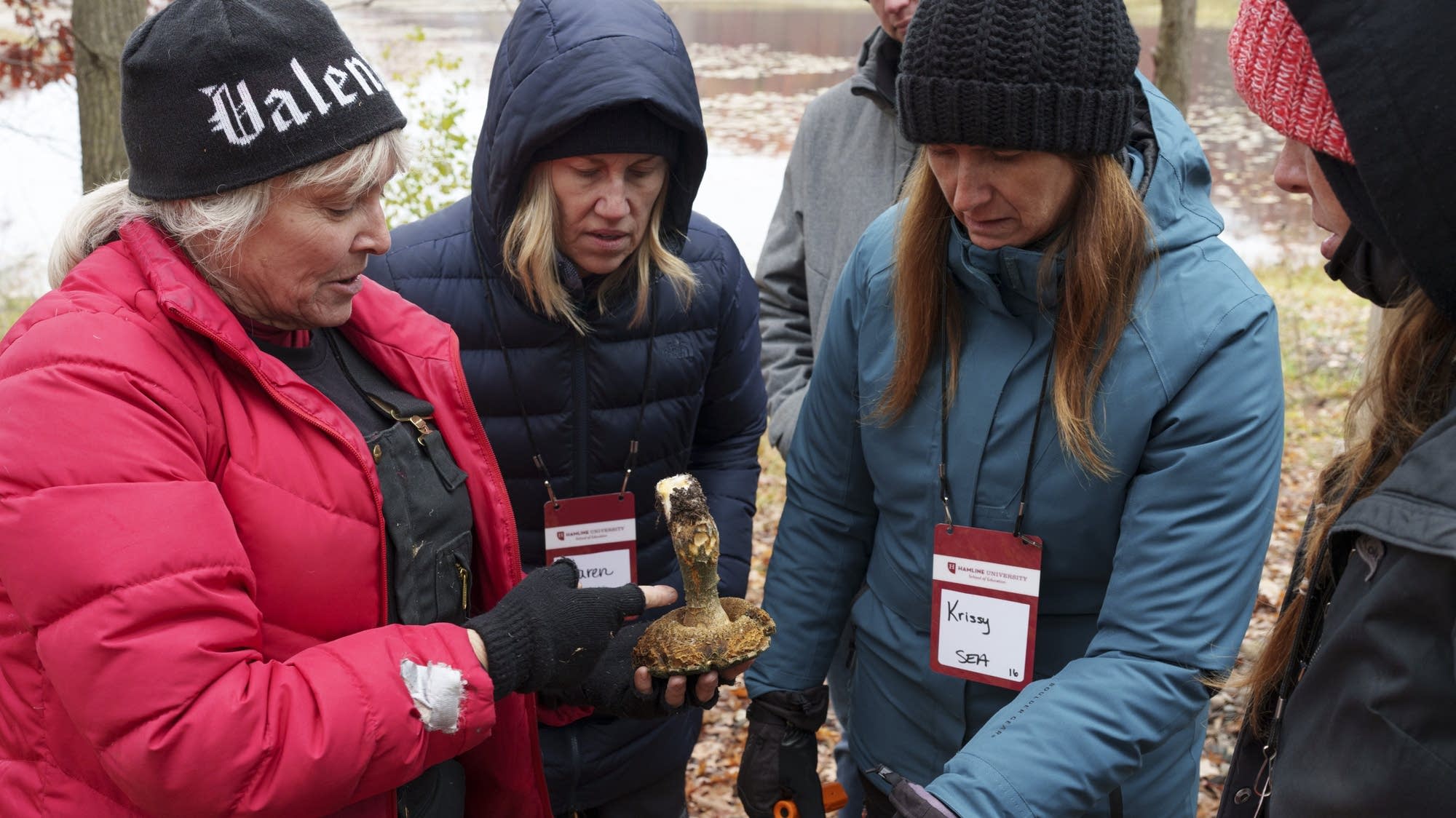 Minnesota teachers learn new ways to bring nature into the classroom - Vimarsana News