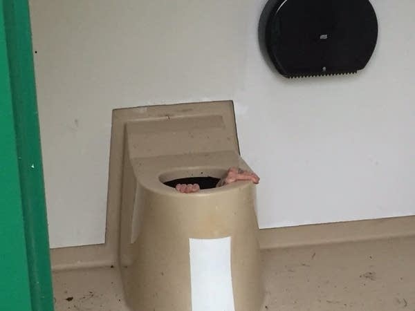 Man stuck in outhouse while trying to retrieve cellphone