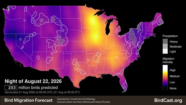 Yellow and purple map of America on a black background