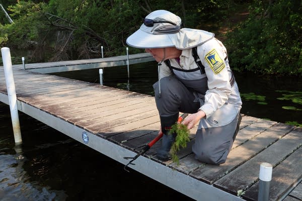 A scientist kneels on a dock