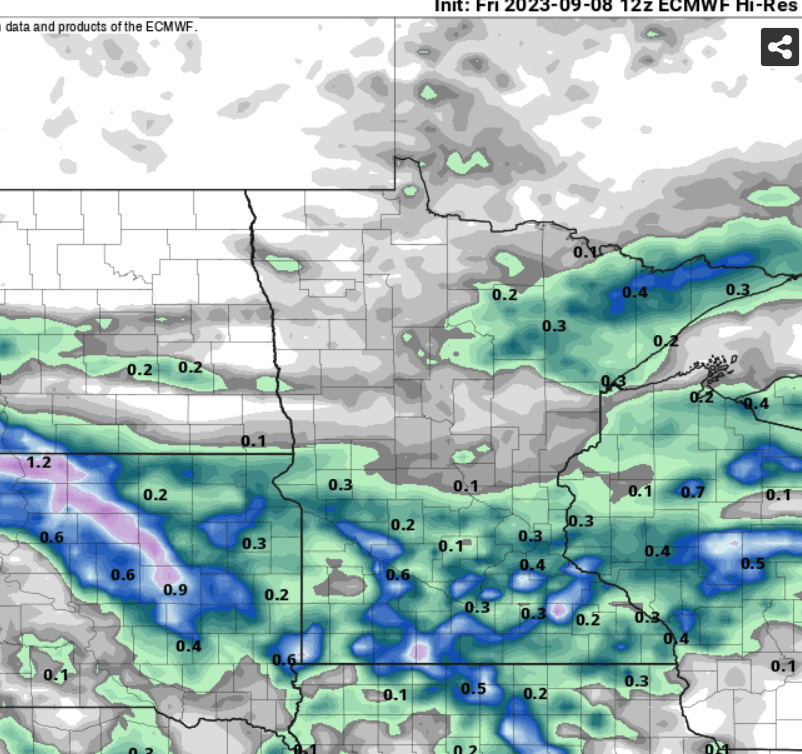 European model (ECMWF) precipitation output