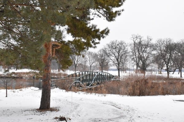 Patchy drizzle, light snow today; winter storm may begin on Tuesday