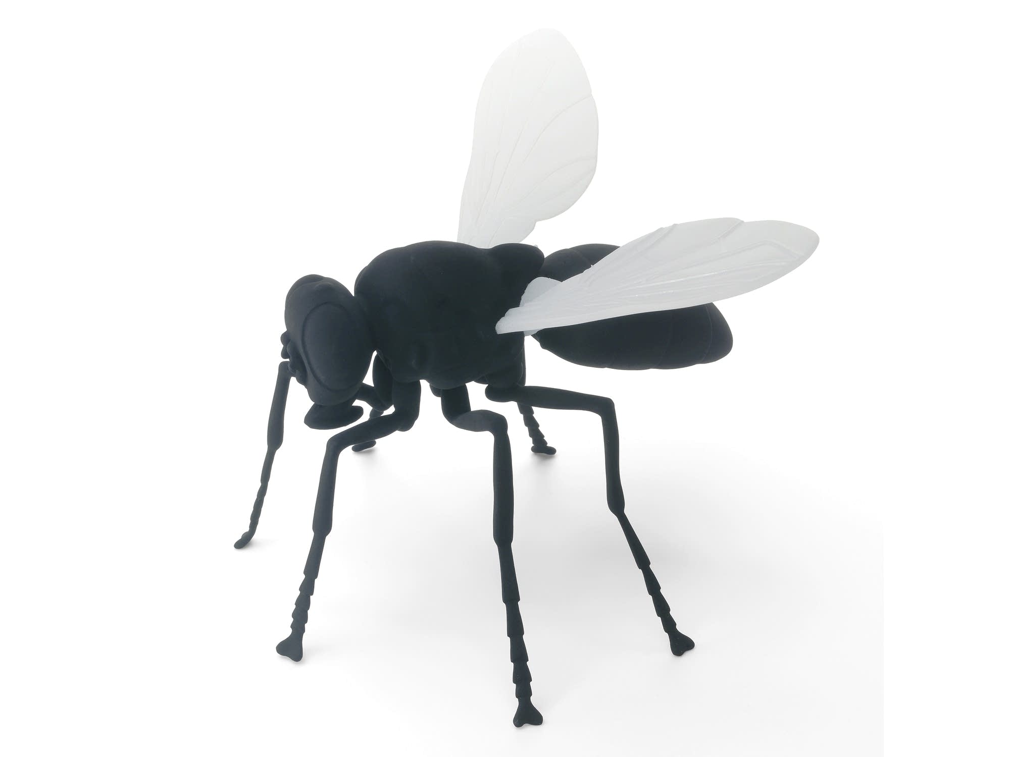 Fliege (Fly) from the 'Multiples' exhibit at the Walker.