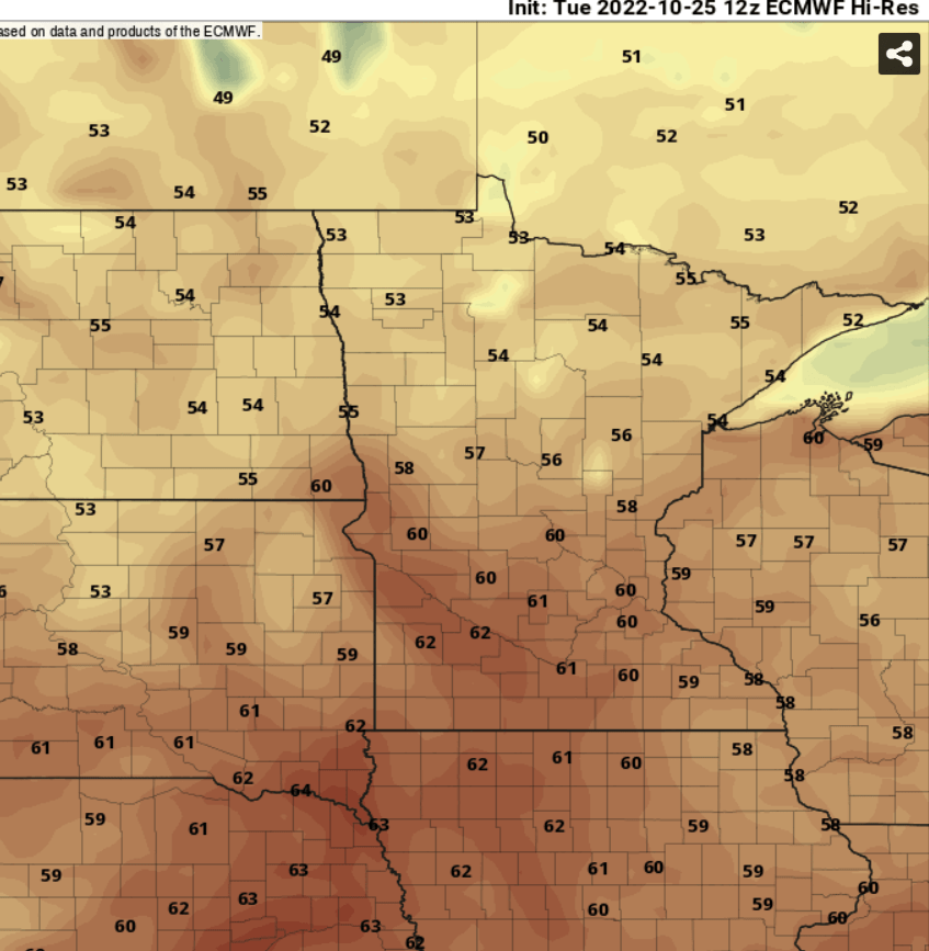 European model (ECMWF) temperature forecast