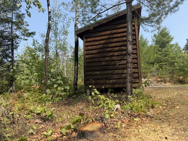 A small brown building with brush cleared out