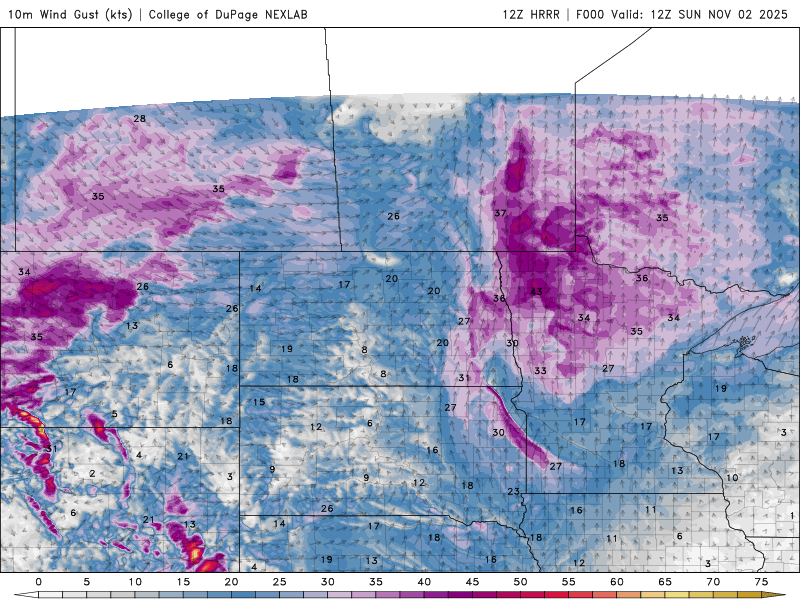 Mild, breezy and brighter
