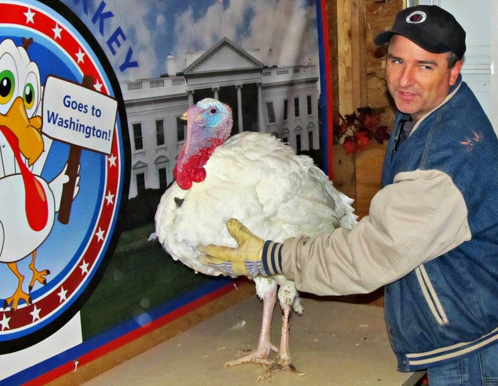 Turkey on the table