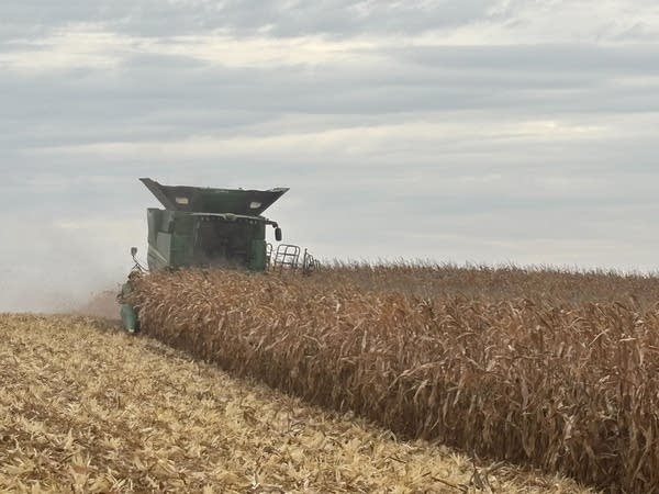 A combine plows through a field.