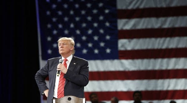 President-elect Donald Trump speaking at a town hall meeting in Tampa, Florida earlier this year.
