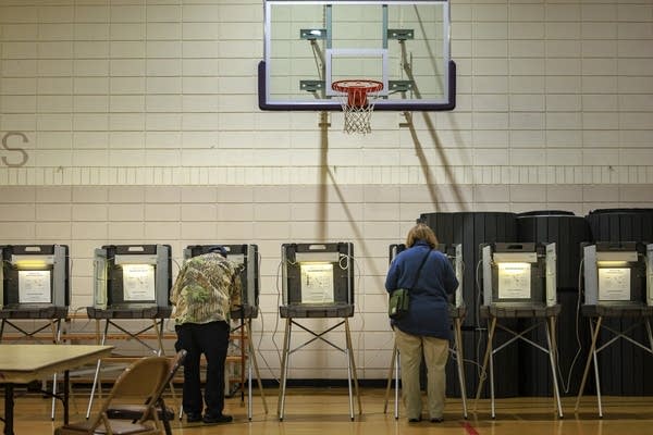 Voters in 2 special elections decide Minnesota Senate party control