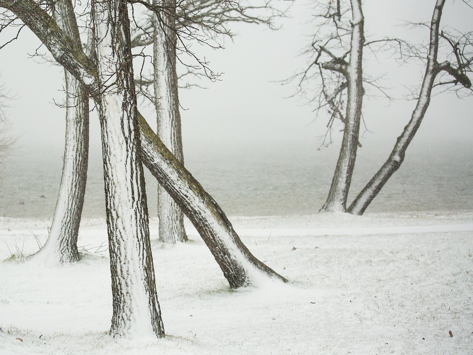 Photos Minnesotans greet the first winter storm of the season